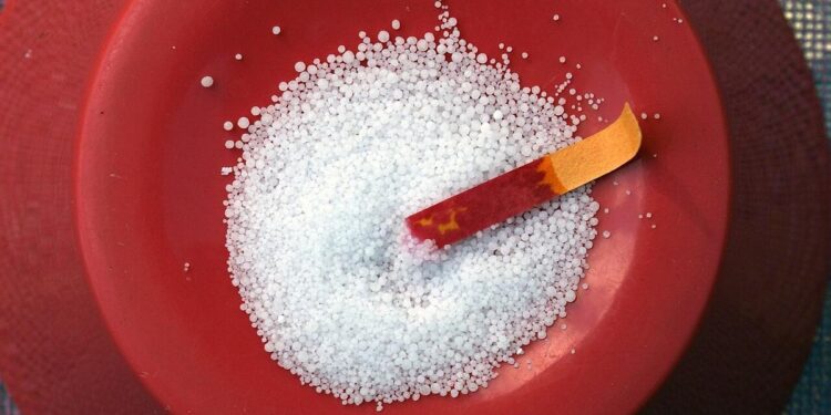 Si abusas de la sal tienes un 40% más de riesgo de padecer este cáncer, que es el más mortal