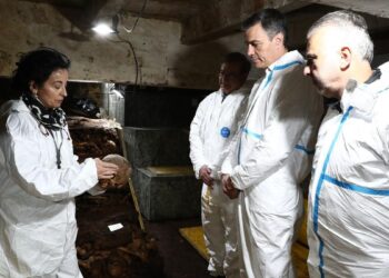 Vivienda toma las riendas para convertir Cuelgamuros en lugar de memoria