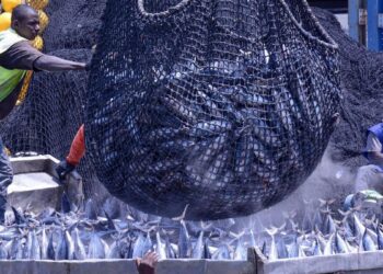 Machismo en alta mar: ‘Una mujer no pinta nada en un barco, solo dais problemas’