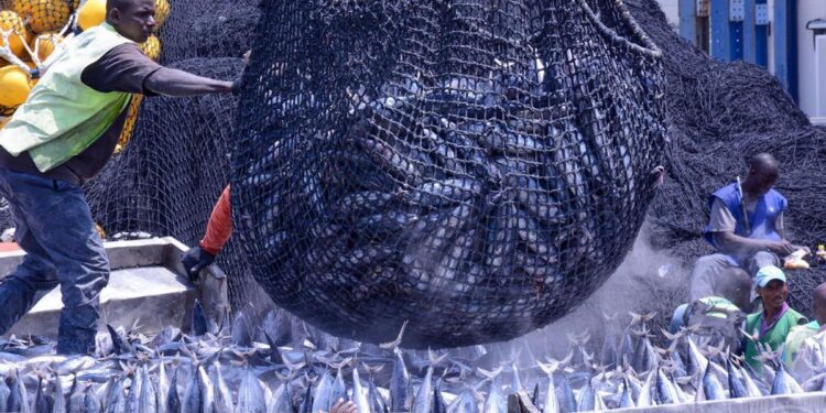 Machismo en alta mar: ‘Una mujer no pinta nada en un barco, solo dais problemas’