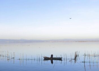 Prohíben la pesca de la carpa en la Albufera por el alto nivel de un tóxico químico permanente