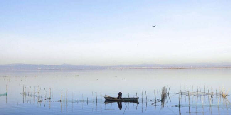 Prohíben la pesca de la carpa en la Albufera por el alto nivel de un tóxico químico permanente