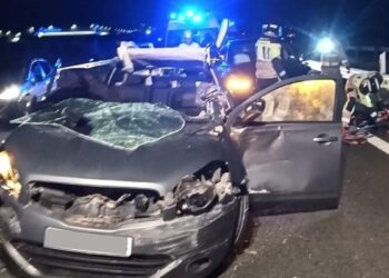 El 2024 registra la cifra más alta de víctimas mortales en las carreteras de los últimos seis años: crecen en furgonetas y autopistas