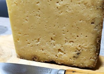 Un pedazo de gamonéu del Puerto, el queso en peligro de extinción