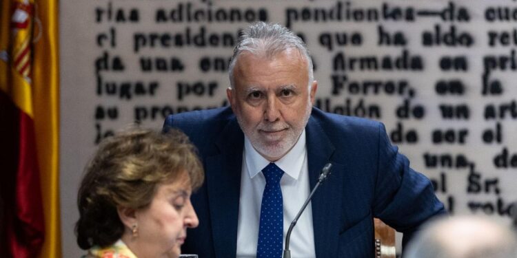 Torres niega en el Senado tener ‘trato’ con Aldama y haberse relacionado ‘con señoritas’