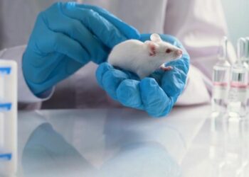 Un estudio en ratones sugiere que la aspirina ‘tiene potencial’ para frenar la metástasis