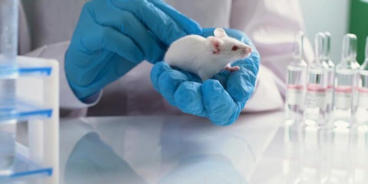 Un estudio en ratones sugiere que la aspirina ‘tiene potencial’ para frenar la metástasis