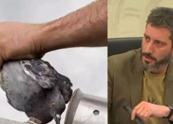 Podemos propone el ‘tiro al fachón’ como respuesta a la restauración del tiro al pichón en Murcia