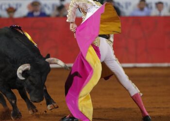 Más de 650.000 firmas pedirán al Congreso que la tauromaquia no sea patrimonio cultural