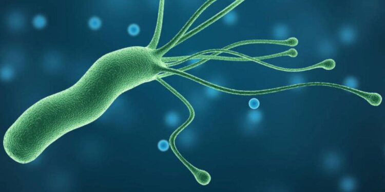 La vida en Marte sería similar a nuestras bacterias intestinales: descubre cómo se vería