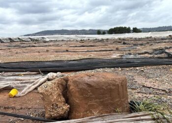 La Comisión Europea aprueba 68 millones para los agricultores afectados por la DANA