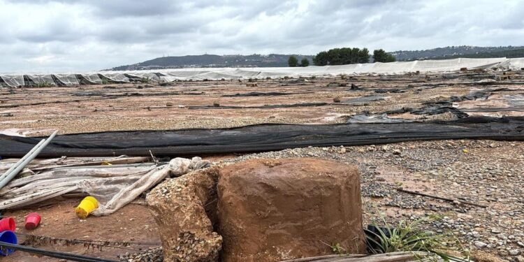 La Comisión Europea aprueba 68 millones para los agricultores afectados por la DANA