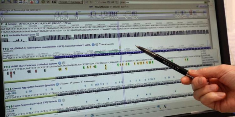 El mayor catálogo de ADN europeo impulsará la medicina personalizada