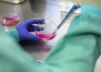 Primer estudio sobre populismo científico en España: un 3,6% de los ciudadanos desconfía de la ciencia y de la comunidad científica