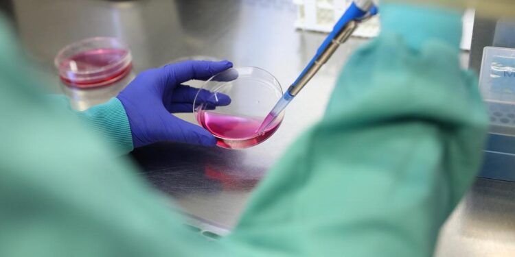 Primer estudio sobre populismo científico en España: un 3,6% de los ciudadanos desconfía de la ciencia y de la comunidad científica