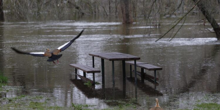 Riesgo de desbordamiento del río Manzanares en Madrid