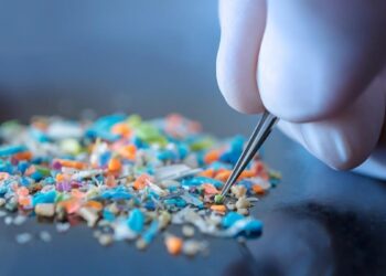 ‘Una cucharada de microplásticos en el cerebro’: un análisis estudia cómo la acumulación de estos residuos puede vincularse a la demencia