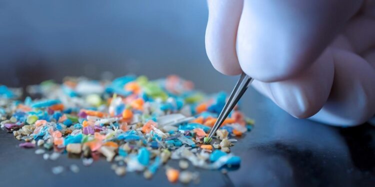 ‘Una cucharada de microplásticos en el cerebro’: un análisis estudia cómo la acumulación de estos residuos puede vincularse a la demencia