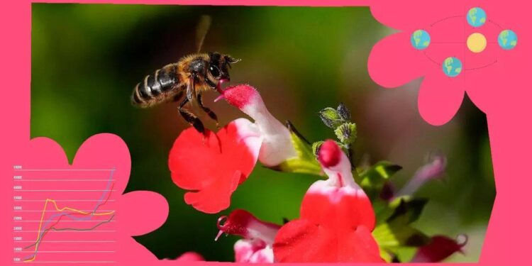 ¿Por qué la primavera la sangre altera, revoluciona las flores y trae de vuelta a las golondrinas?
