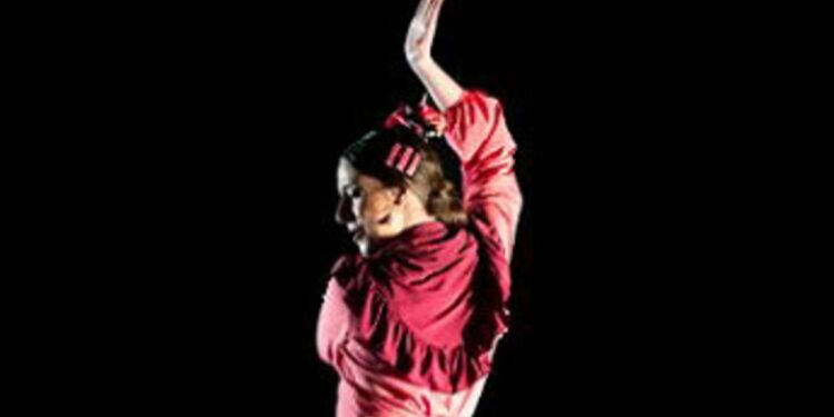 La Junta Municipal de Distrito anuncia el programa para celebrar el Día Internacional de la Danza