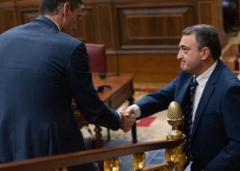 Aitor Esteban: ‘Todos deberíamos ser responsables y darle unos presupuestos al Gobierno’
