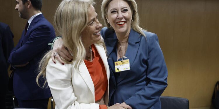 El PP se queda solo en la comisión para el estudio de la quita de deuda autonómica en la Asamblea de Madrid