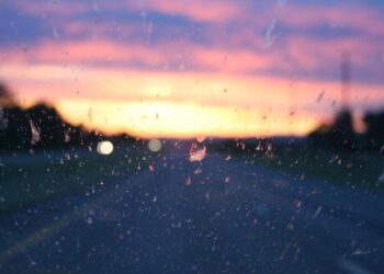 El ‘presagio’ del fenómeno del parabrisas: ¿Otra gran extinción?