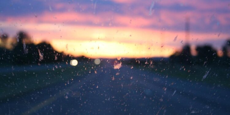 El ‘presagio’ del fenómeno del parabrisas: ¿Otra gran extinción?