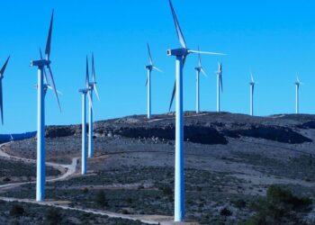 Los parques eólicos deberán parar al menos un año un aerogenerador si causa la muerte de aves