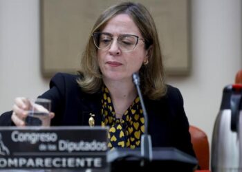 El Gobierno denegó 47 exportaciones de material militar a Israel en 2024