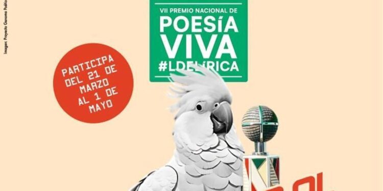Poemas y ‘performance’ en el certamen Premio Nacional de Poesía Viva: últimos días para participar
