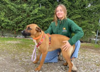 María Chamarro, coordinadora del centro de adopción animal ANAA: ‘Adoptar un animal salva dos vidas’