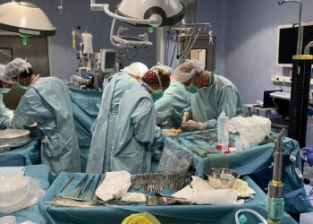 China realiza el primer trasplante de un hígado de cerdo modificado genéticamente a un humano