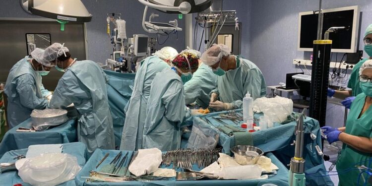 China realiza el primer trasplante de un hígado de cerdo modificado genéticamente a un humano