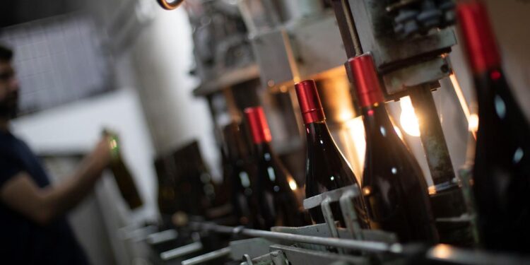 Cercanías Madrid recorrerá tres bodegas locales en la primera Ruta del Vino, que pone en valor la enología local