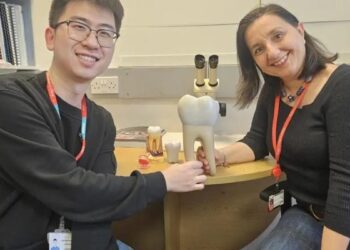 Revolución dental: dientes vivos cultivados en laboratorio podrían reemplazar los implantes