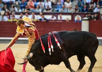 Román y su trepidante epopeya con ‘Comisario’ rinden Las Ventas