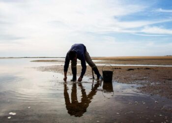 Alta cocina en defensa del mar: chefs eliminan especies en peligro de sus cartas