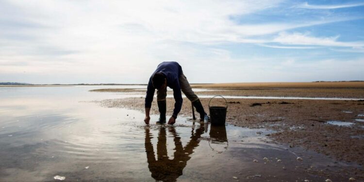 Alta cocina en defensa del mar: chefs eliminan especies en peligro de sus cartas