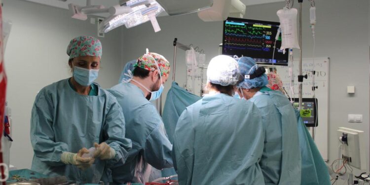 La sanidad madrileña, pionera en España en trasplante cardiopulmonar con un donante fallecido