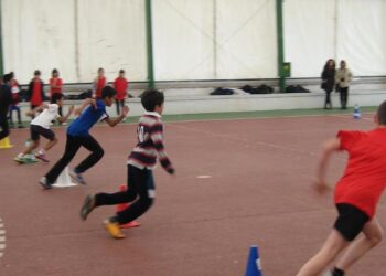 CSIF denuncia que los nuevos criterios para profesor de Educación Física en la Comunidad de Madrid son ‘más propios de un cuerpo de seguridad que de un docente’