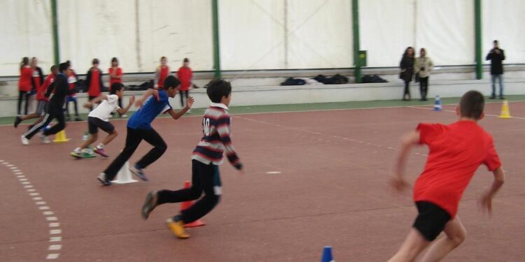 CSIF denuncia que los nuevos criterios para profesor de Educación Física en la Comunidad de Madrid son ‘más propios de un cuerpo de seguridad que de un docente’