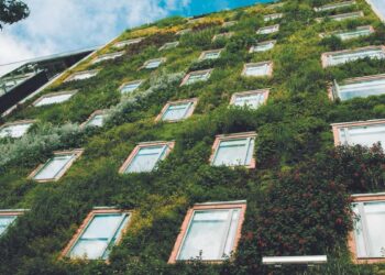 Los beneficios de las fachadas vegetales: combaten el calor urbano y fomentan la biodiversidad