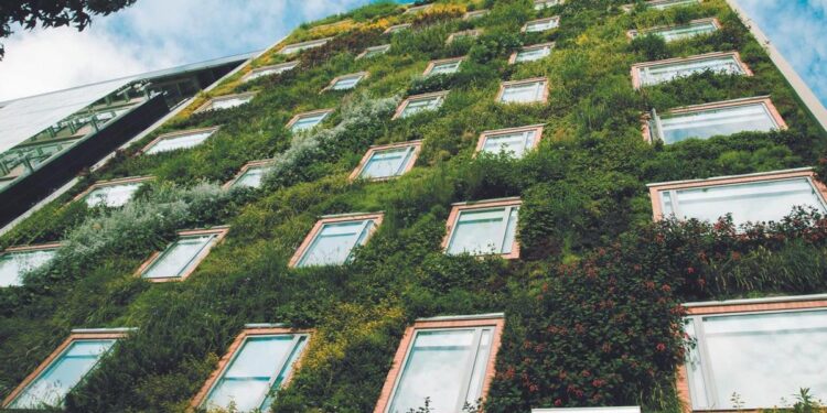 Los beneficios de las fachadas vegetales: combaten el calor urbano y fomentan la biodiversidad