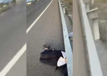 Un conductor encuentra a un joven dormido en plena M-40 en Madrid: ‘Está cuajado, sobando la mona’