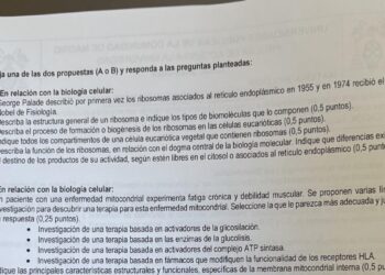 Biología, una de las materias más polémicas de la PAU en Madrid: ‘¿Por qué he estudiado para este examen?’