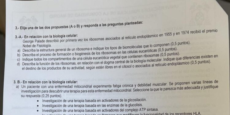 Biología, una de las materias más polémicas de la PAU en Madrid: ‘¿Por qué he estudiado para este examen?’
