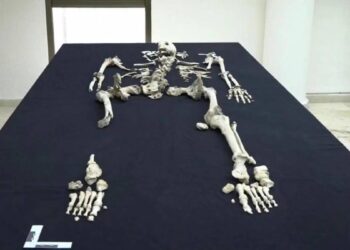 Menstruación a los 16 años y estirones desde los 10: así fue la pubertad en la España Medieval