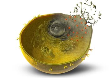 La IA diseña proteínas que podrían combatir el cáncer