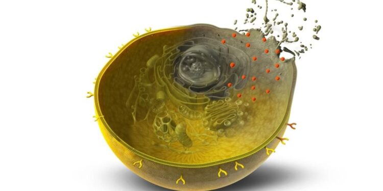 La IA diseña proteínas que podrían combatir el cáncer